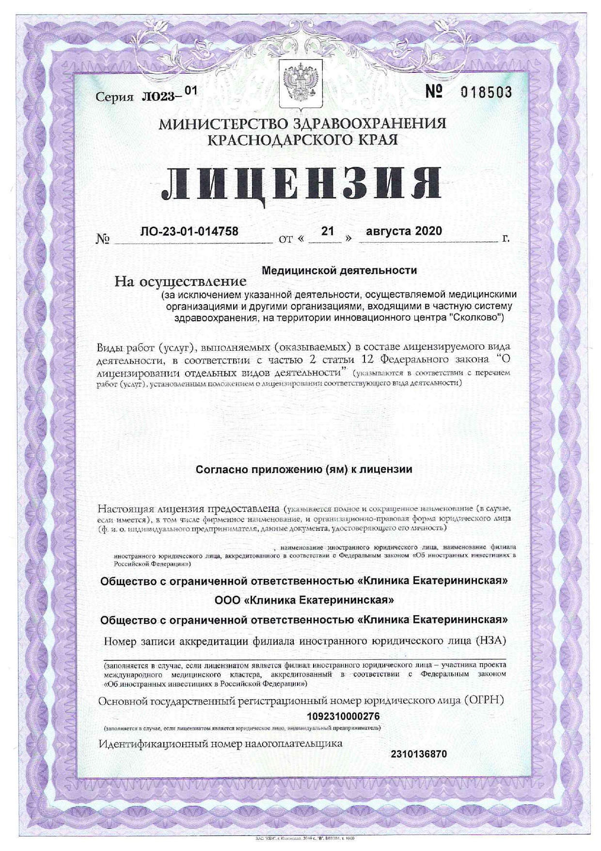 Лицензия клиники Екатерининская 